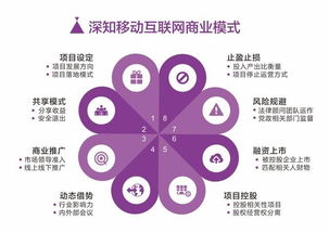 中国市场经典营销理论与策划实践探析